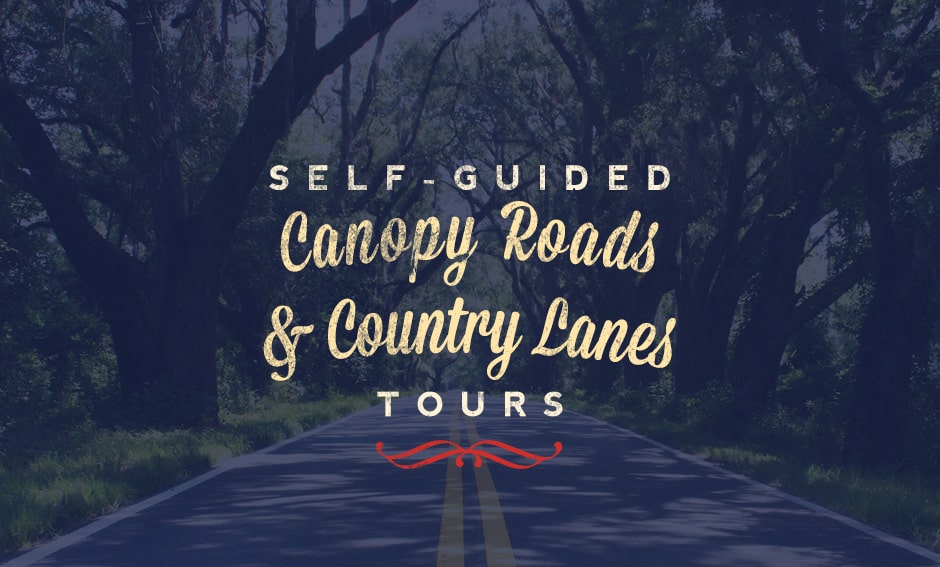 Canopy Roads & Country Lanes Thumbnail