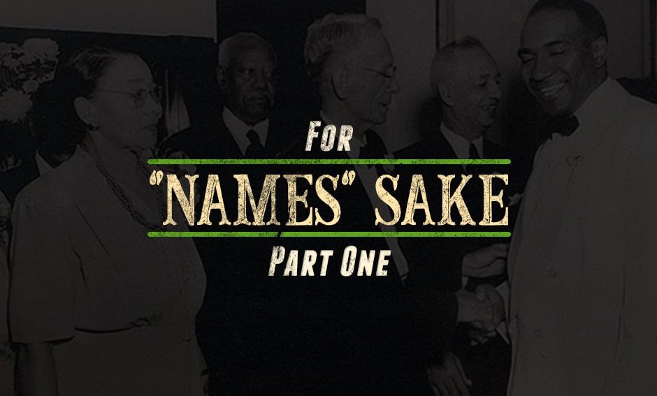 For Names Sake Thumbnail