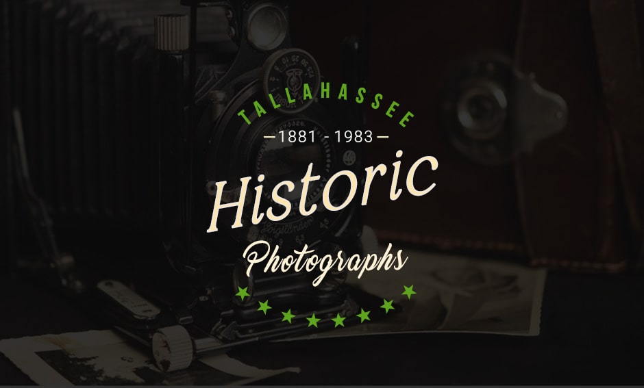 A Glimpse Into The Past