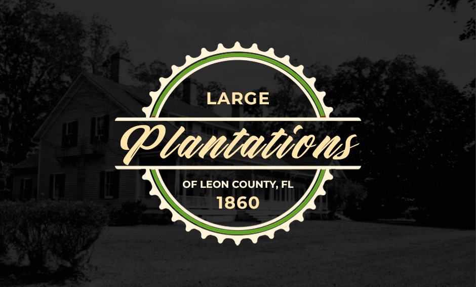 Large Plantations Thumbnail