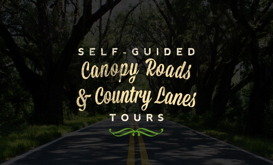 Canopy Roads & Country Lanes Thumbnail